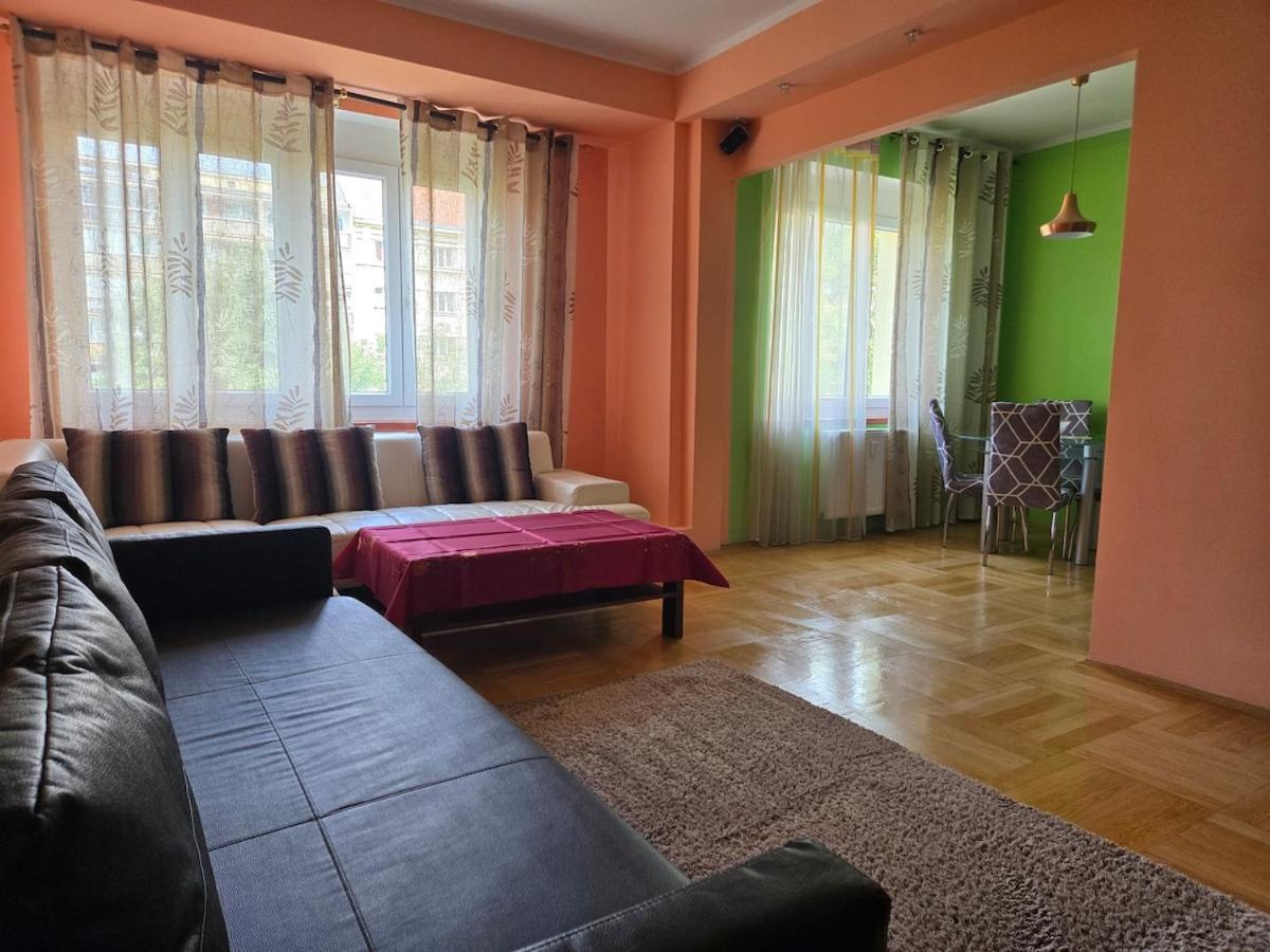 Spacious Two-room In Praga