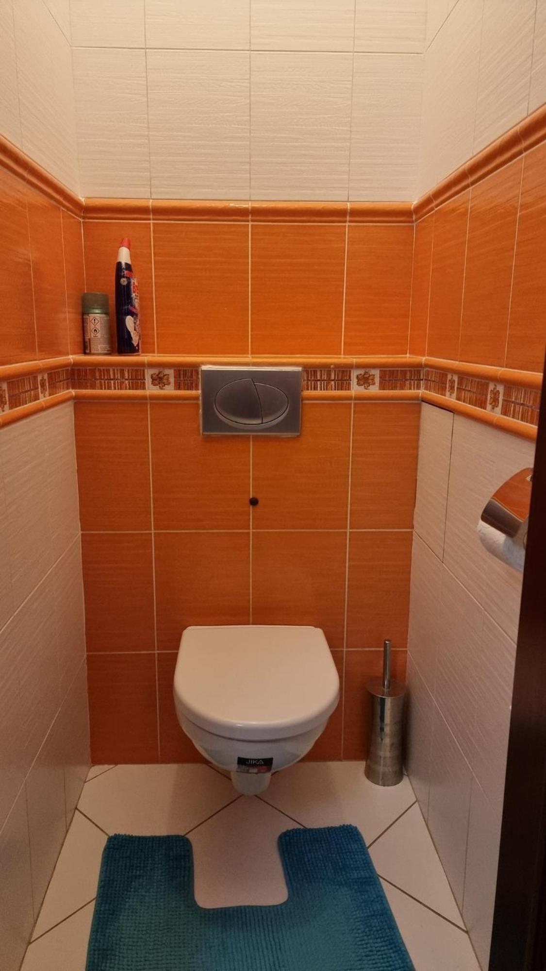 Spacious Two-room In Appartamento Praga